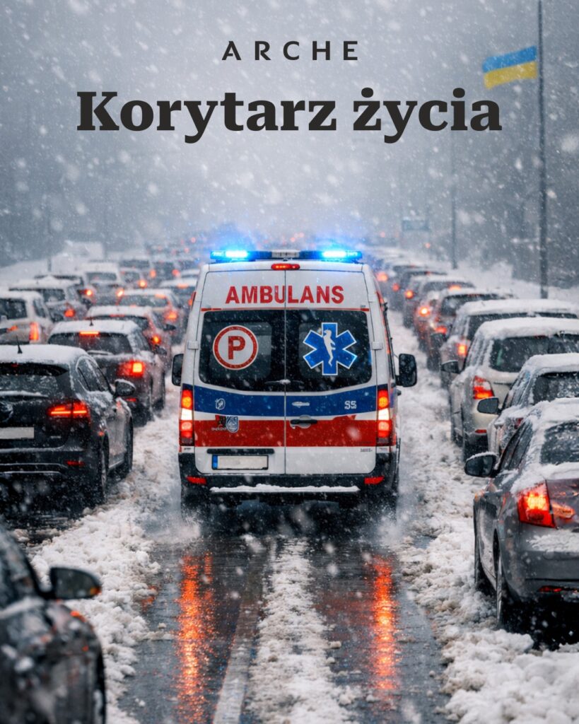 Współpraca z grupą Arche