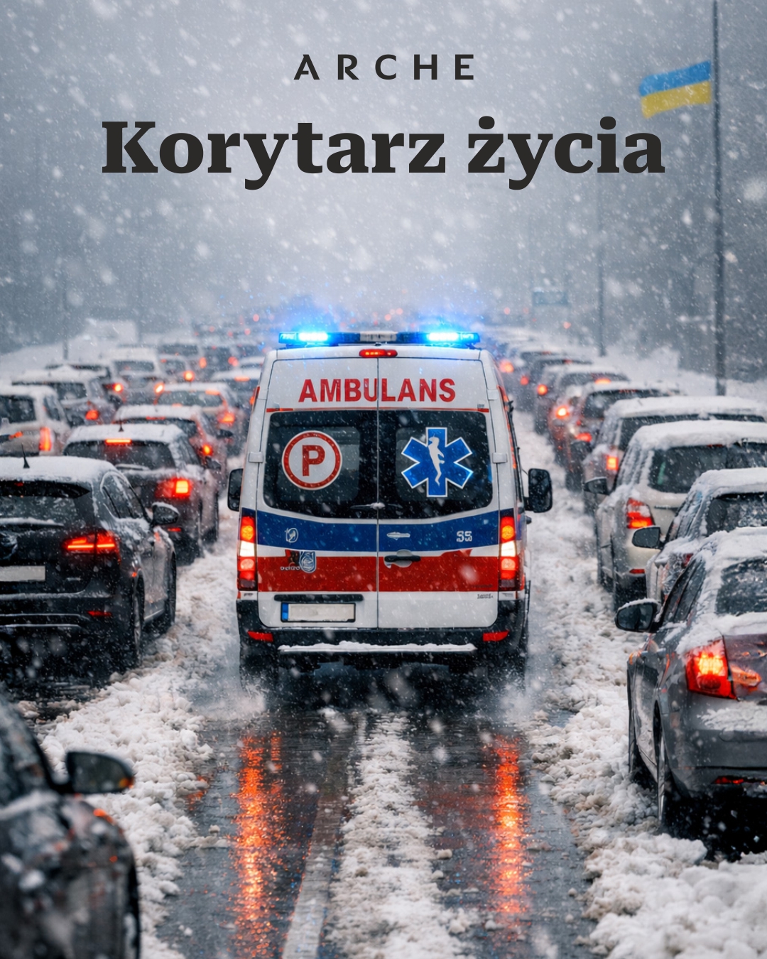 Współpraca z grupą Arche