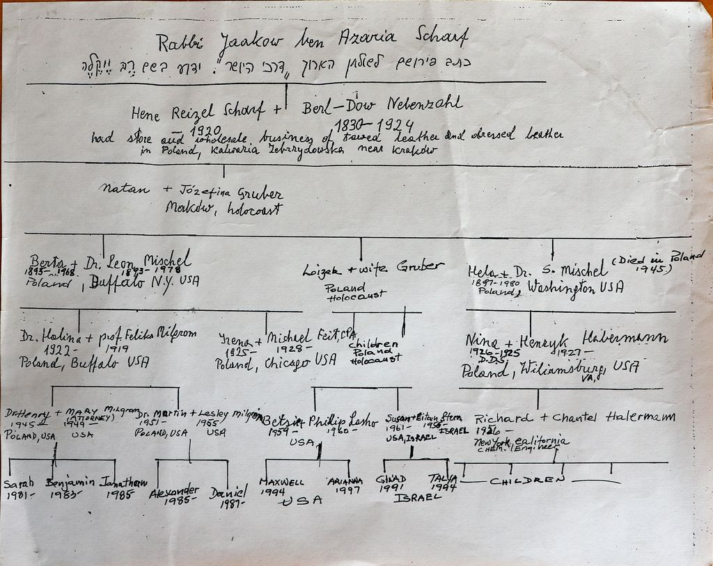 Drzewo genealogiczne rodziny Mischel